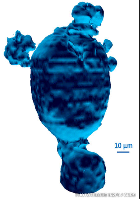 La première image 3D en tomographie protonique d’une cellule humaine isolée. 1998