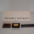 Circuits intégrés - Delphi