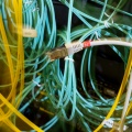 Câblage fibre optique