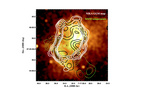 Carte de l'amas de galaxies en X et par effet Sunyaev-Zeldovich