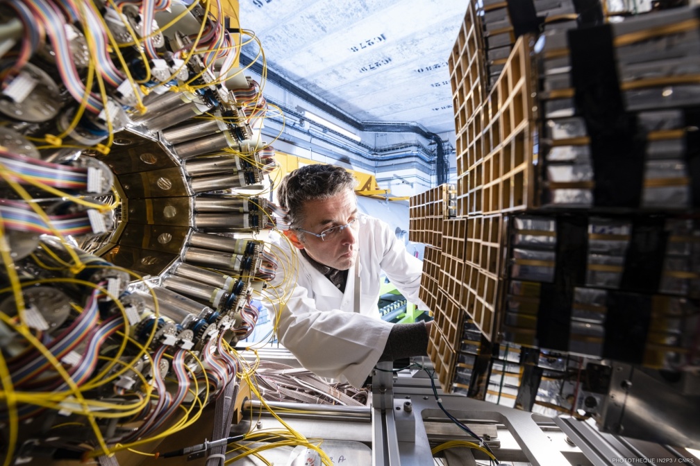 Multidétecteurs de particules chargées FAZIA.