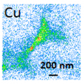 Imagerie de fluorescence X induite par rayonnement synchrotron de la distribution du zinc et du cuivre dans un compartiment post-synaptique. 2017