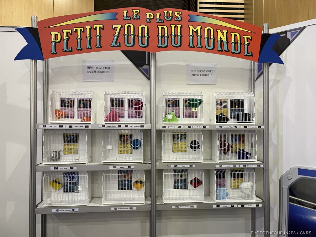 Vue sur le zoo des particules