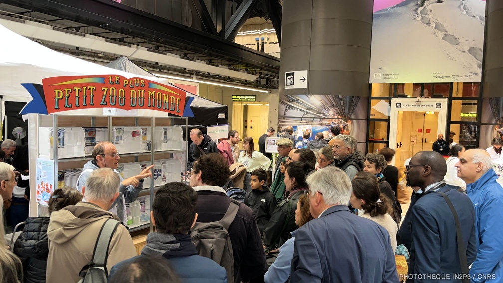 Le zoo des particules présenté pour les 70 ans du CERN à la Cité des Sciences