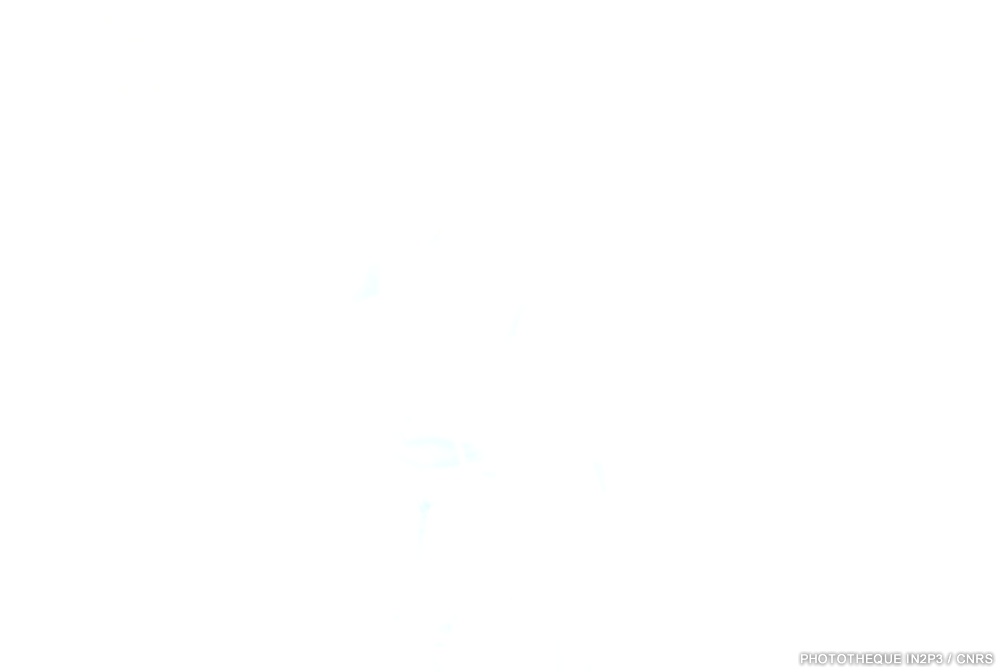 DSCF0527