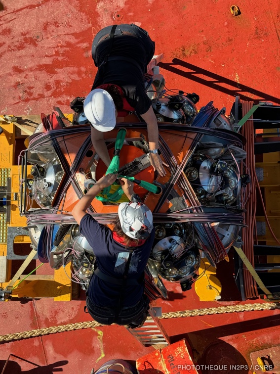 Déploiement de lignes ORCA du détecteur de neutrinos KM3NeT