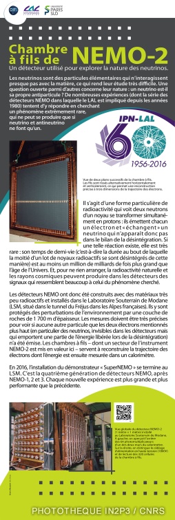 5 b p chambre a fils NEMO2 00439