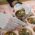 Photomultiplicateurs composant un module optique KM3NeT