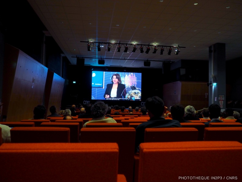 P1010129.jpg