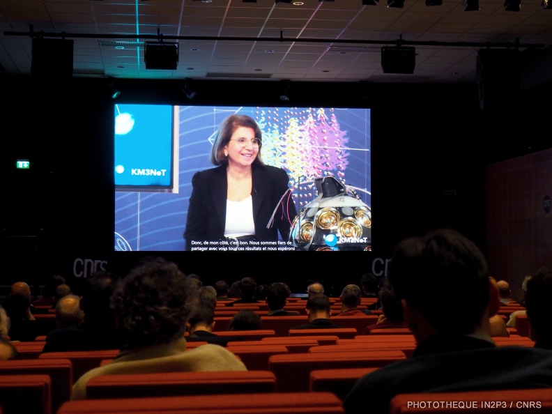 P1010130.jpg