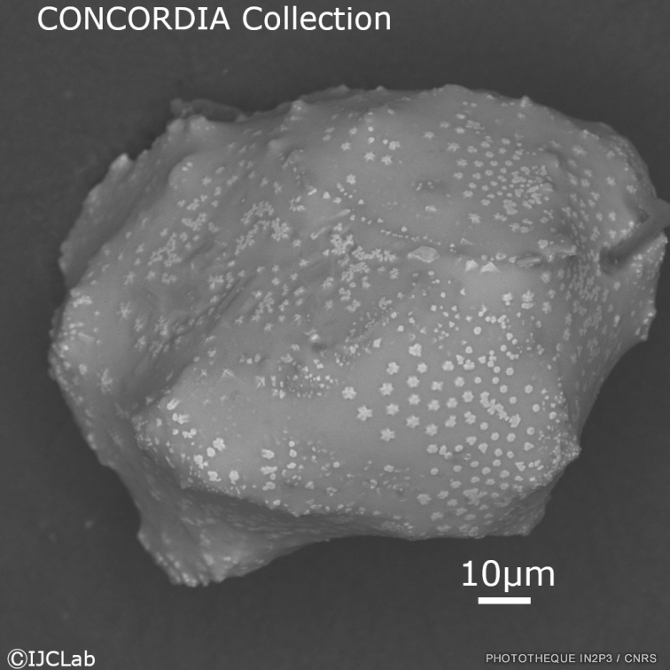 Concordia Collection Crédit : IJCLab