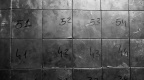 IMG 7348