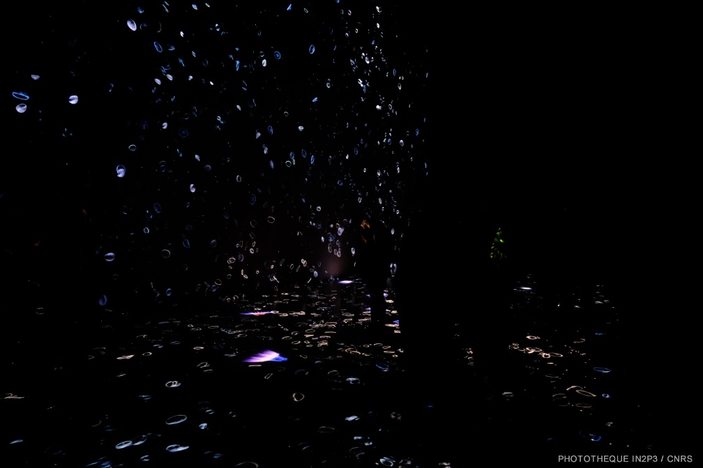 DSCF0664