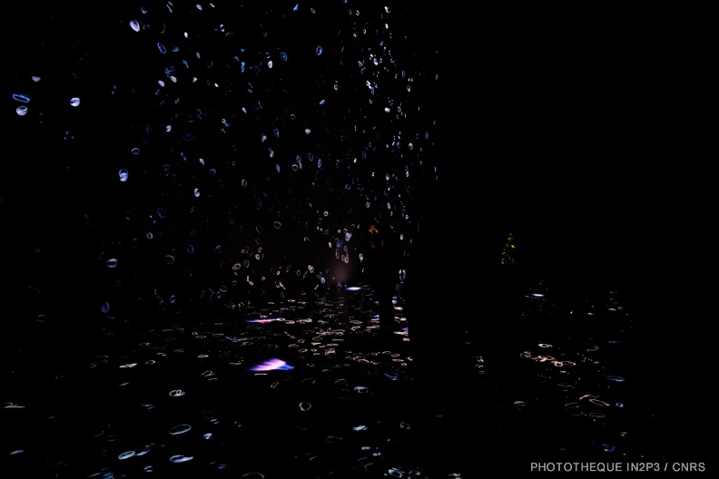 DSCF0664