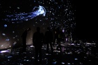 DSCF0665