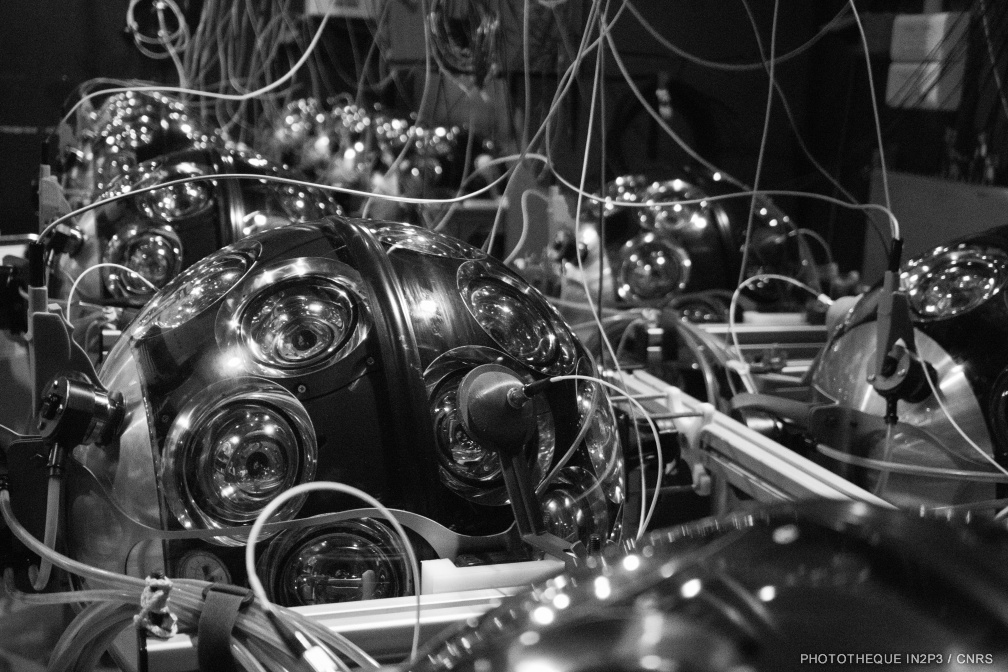 Salle des cerveaux n&b