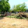 DSCF0919