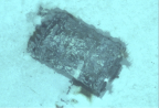 Fût photographié par l’AUV UlyX à 4700 m de profondeur