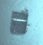 Fût photographié par l’AUV UlyX à 4700 m de profondeur
