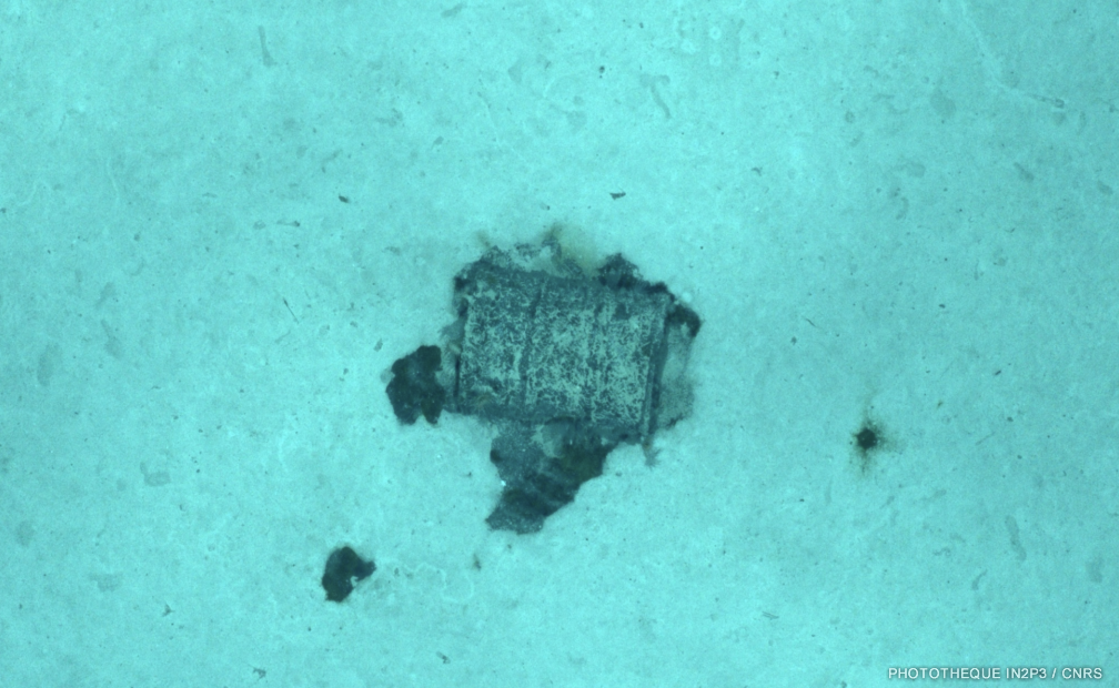 Fût photographié par l’AUV UlyX à 4700 m de profondeur