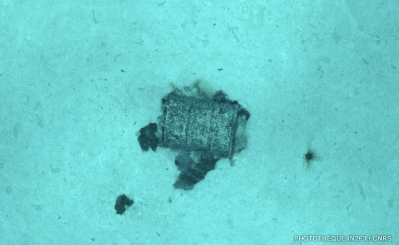 Fût photographié par l’AUV UlyX à 4700 m de profondeur