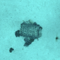 Fût photographié par l’AUV UlyX à 4700 m de profondeur