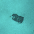 Fût photographié par l’AUV UlyX à 4700 m de profondeur