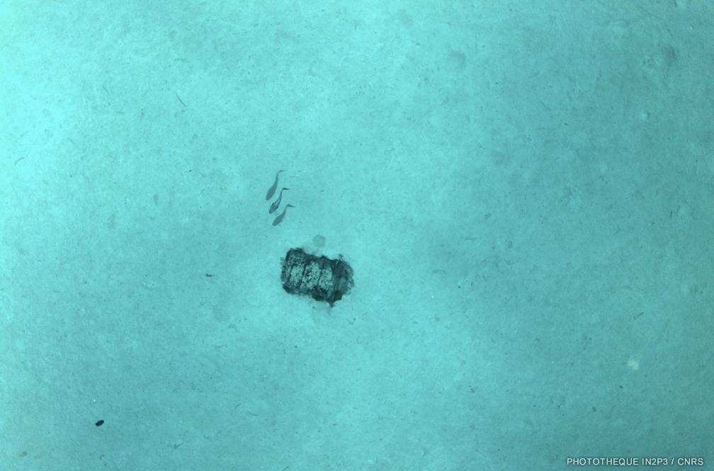 Fût photographié par l’AUV UlyX à 4700 m de profondeur