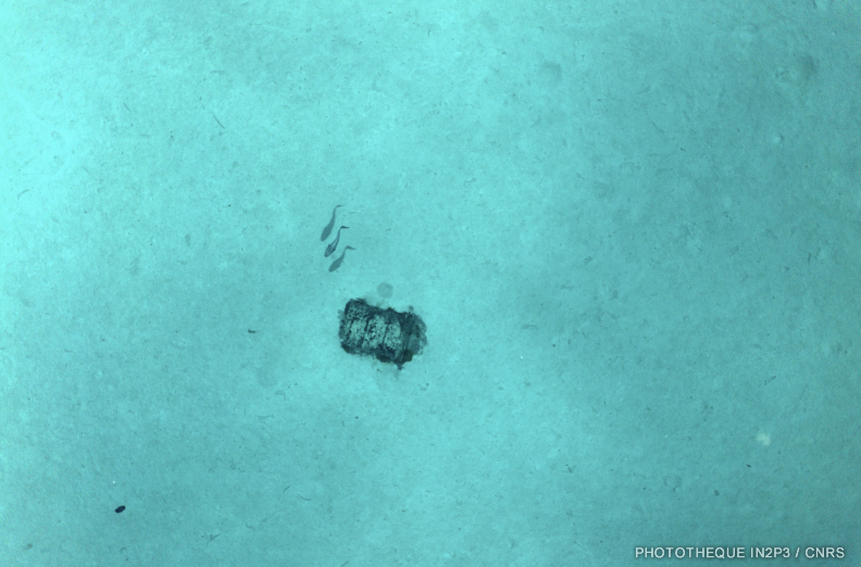 Fût photographié par l’AUV UlyX à 4700 m de profondeur