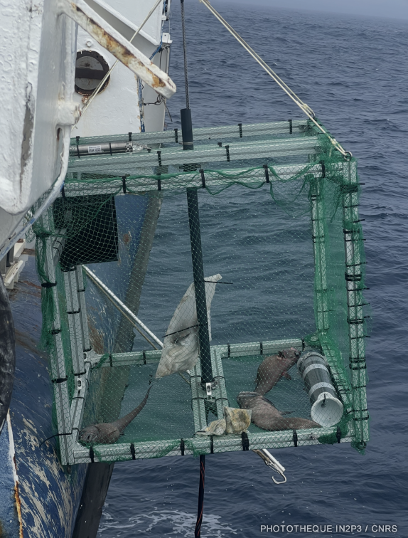 Un des piège à poissons utilisés pendant la mission Nodssum