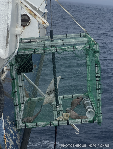 Un des piège à poissons utilisés pendant la mission Nodssum