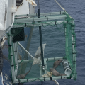 Un des piège à poissons utilisés pendant la mission Nodssum