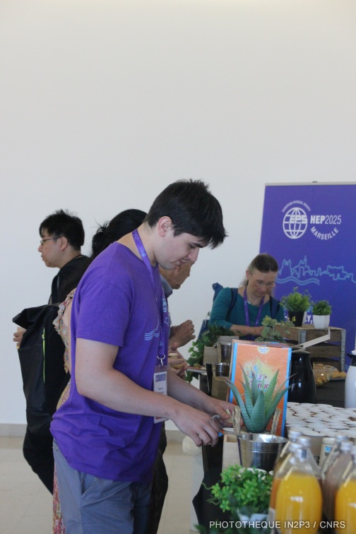 IMG 7073