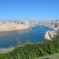 IMG 7712