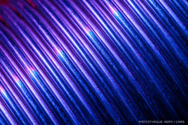 8 GANIL Sous Vide ©Yannig Van De Wouwer.jpg