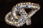 20260125-visite-CERN-HD-022