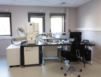 Microscope électronique à balayage (MEB)