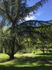 Environnement - campus d'Orsay