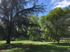 Environnement - campus d'Orsay