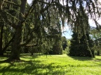 Environnement - campus d'Orsay