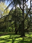 Environnement - campus d'Orsay