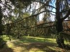 IMG 0275