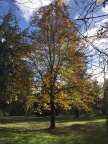 IMG 0279